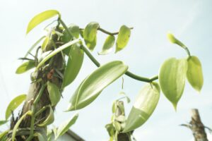 14_20250526_112904_0000