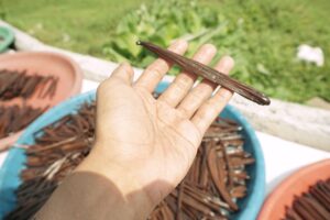 17_20250526_112904_0003